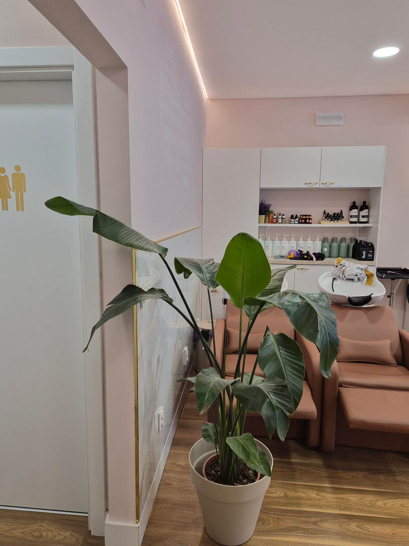 Ambiente feminino e iluminação suave